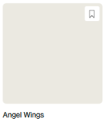 angel wings.png