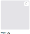 water lily.png