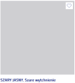 szary jasny.png