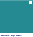 turkusowy.png