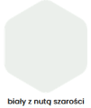 biały z nuta szarosci.png