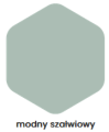 modny szalwiowy.png