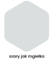 szary jak mgielka.png