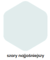 szary najjasniejszy.png