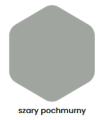 szary pochmurny.png