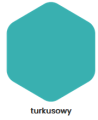 turkusowy.png